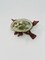 Bholi Sage Plus Sage Smudge Kit with White California Sage 2 Palo Santo Sticks Abalone Shell Bowl & Wooden Stand Great for Starters and Home Cleansing